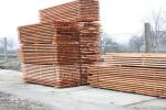 Świerk Tarcica budowlana | Miękkie drewno | Tarcica | MP-HOLZ, s.r.o.