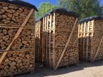 Drewno opałowe Brzoza | Drewno opałowe, brykiety | Coni alnus