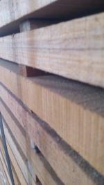 Teak Tarcica budowlana | Drzewa tropikalne | Tarcica | JSC Aksta