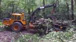 Ciągnik do zrywki – forwarder - Maszyny do obróbki drewna