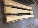Lipa Tarcica stolarska | Drewno twarde | Tarcica | JAF HOLZ Slovakia