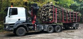 Transport i załadunek 13.10.2023 - 30.11.2023 | Usługi | KASE