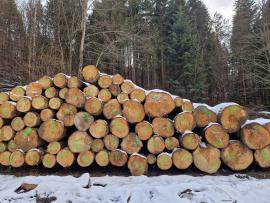 Jodła Okrąglaki do cięcia | Miękkie drewno | Kłody | ALBA Forrest s.r.o.