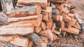 Drewno opałowe Brzoza | Drewno opałowe, brykiety | SCOPULUS Handels-und Dienstleistungs GmbH