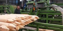 Inne urządzenia techniczne Kompletn výroní Linka kulů . | Urządzenia do cięcia | Maszyny do obróbki drewna | Drekos Made s.r.o