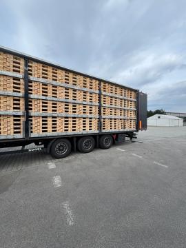 Palety Palety jednorazowe |  Opakowania, palety | Woodproo s.r.o.
