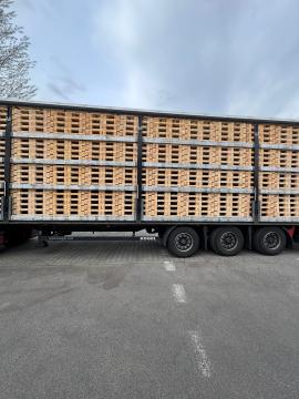 Palety Palety jednorazowe |  Opakowania, palety | Woodproo s.r.o.