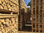 Drewno opałowe Brzoza |  Paliwo, brykiety | Coni alnus