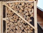 Drewno opałowe Buk |  Paliwo, brykiety | 19th-Wood s.r.o.