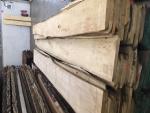 Lipa Tarcica stolarska |  Drewno twarde | Tarcica | JAF HOLZ Slovakia