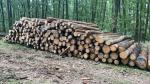 Sosna Okrąglaki do cięcia |  Miękkie drewno | Kłody | BB development
