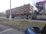Świerk Drewno na pniu |  Miękkie drewno | Kłody | Ján Haviar