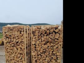 Drewno opałowe Buk |  Paliwo, brykiety | Masssa s.r.o