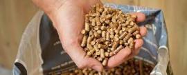 Palety Sosna |  Paliwo, brykiety | SCOPULUS Handels-und Dienstleistungs GmbH 