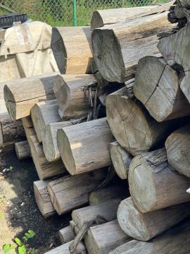 Teak Okrąglaki do cięcia |  Drzewa tropikalne | Kłody | SOFT IT SP .ZO.O SPÓŁKA Z OGRANICZONĄ ODPO