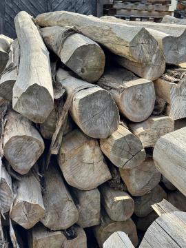Teak Okrąglaki do cięcia |  Drzewa tropikalne | Kłody | SOFT IT SP .ZO.O SPÓŁKA Z OGRANICZONĄ ODPO
