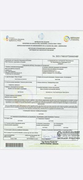 Teak Tarcica stolarska |  Drzewa tropikalne | Tarcica | SOFT IT SP .ZO.O SPÓŁKA Z OGRANICZONĄ ODPO