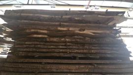 Dąb Tarcica stolarska